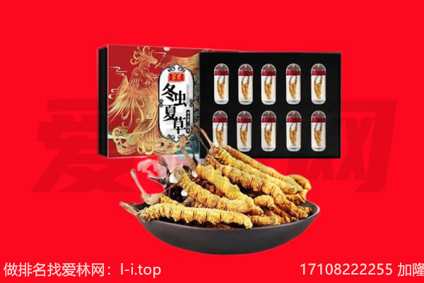 东营广饶县回收虫草.jpg